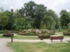 Park w Rawie Mazowieckiej (ze zbiorów muzeum ziemi Rawskiej) (2012 r.)